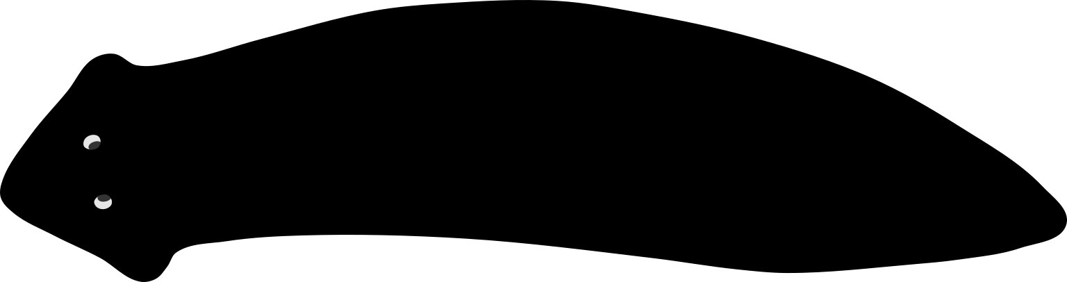 Dugesia superioris