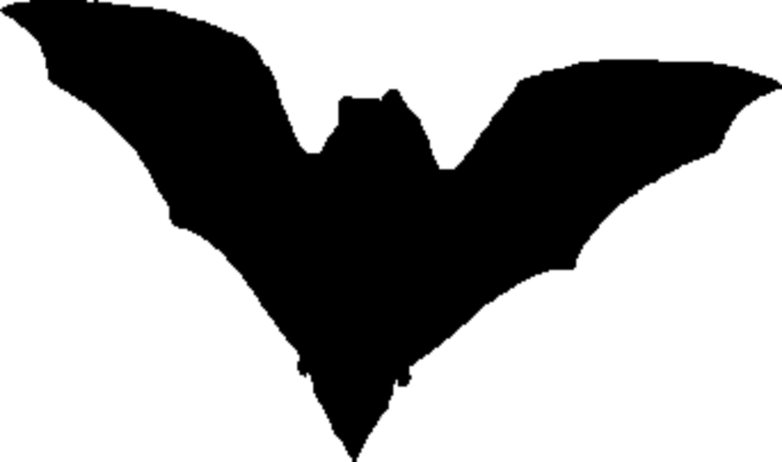 Barbastella barbastellus