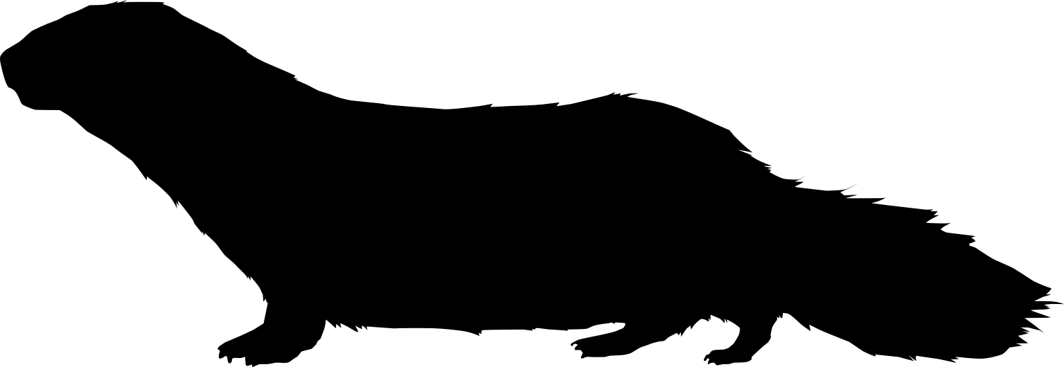 Lyncodon patagonicus