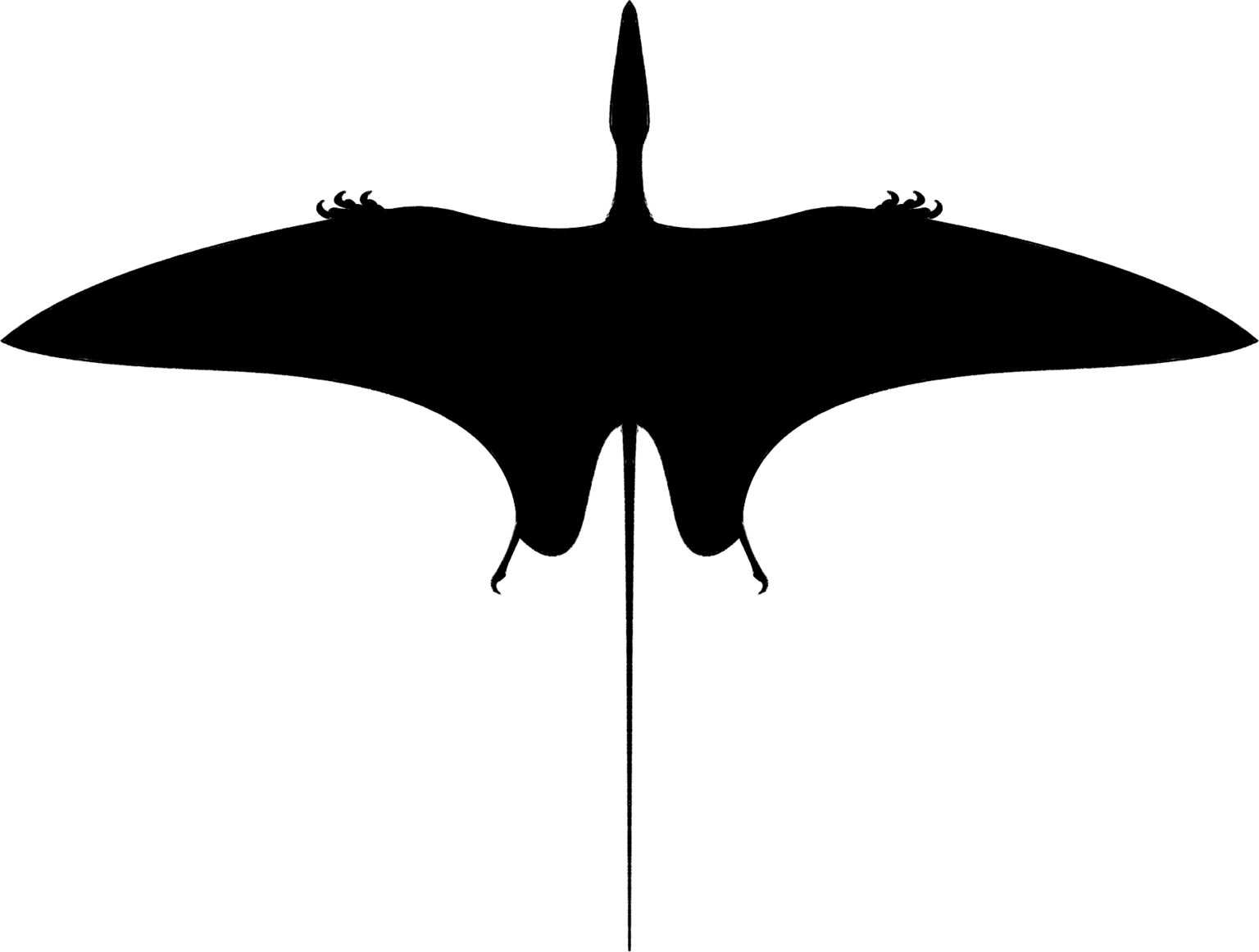 Peteinosaurus zambellii