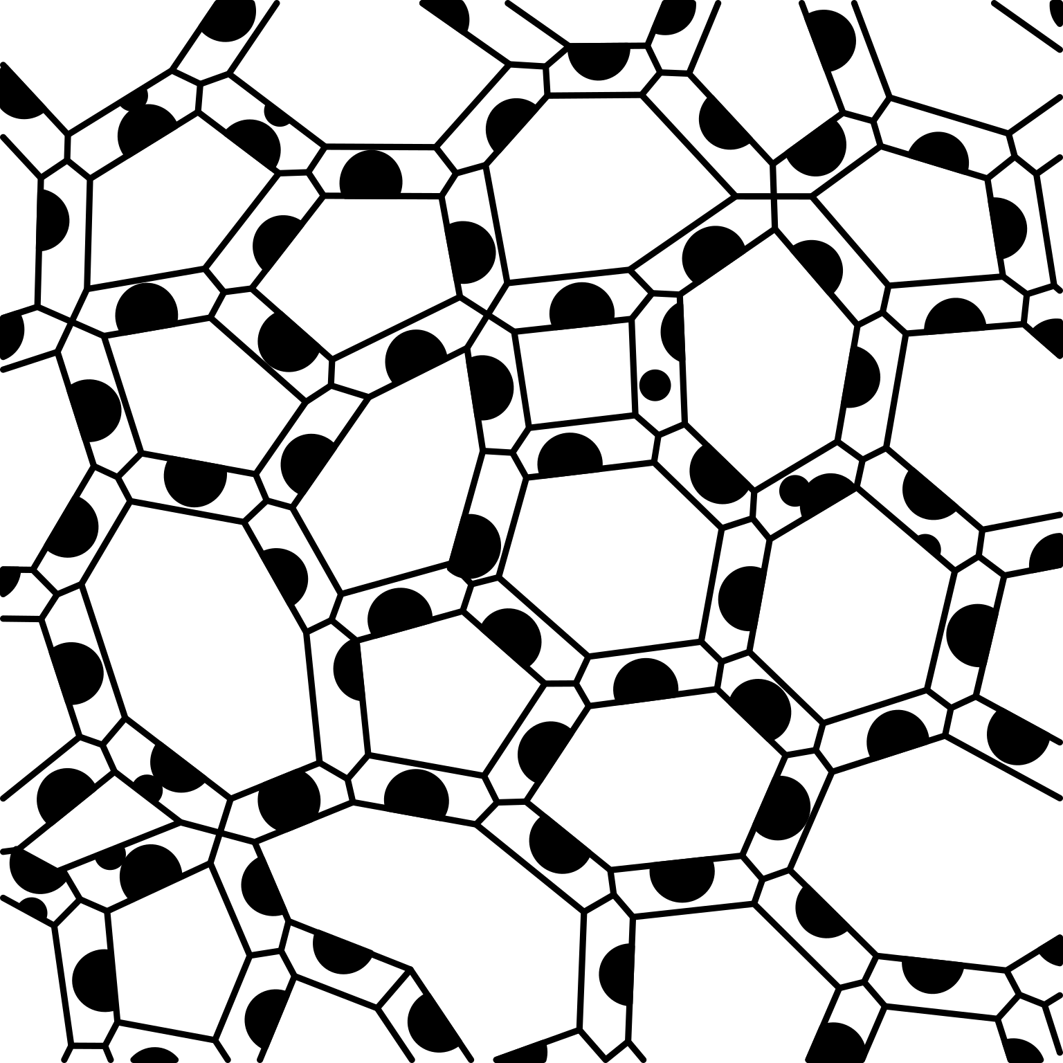 Hydrodictyon