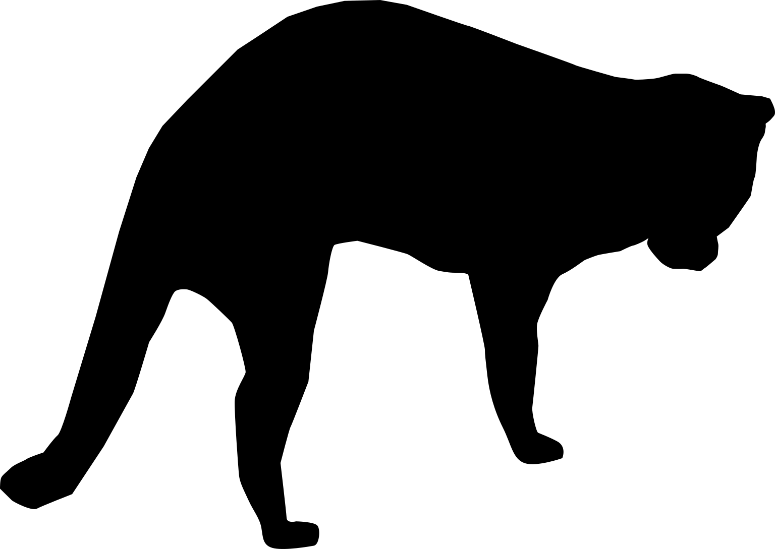 Viverra