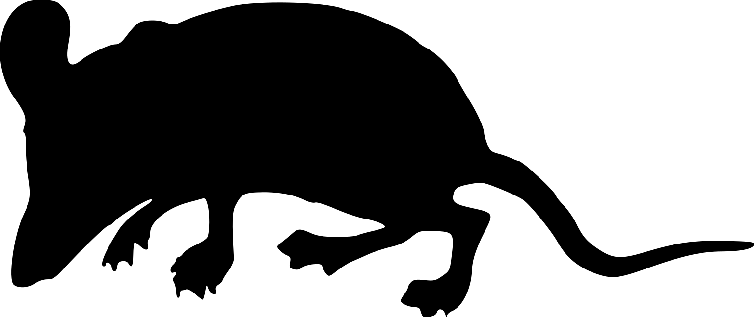 Geogale aurita