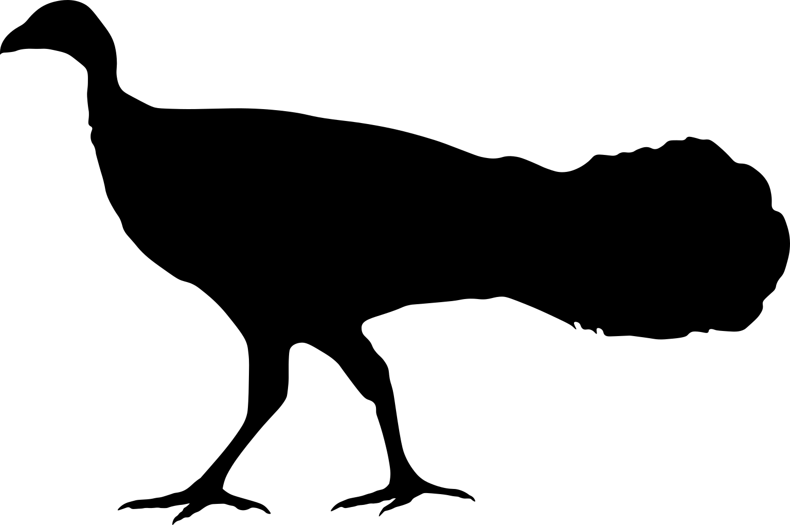 Alectura lathami