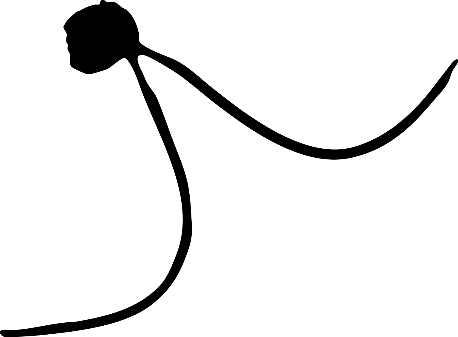 Palpitomonas bilix