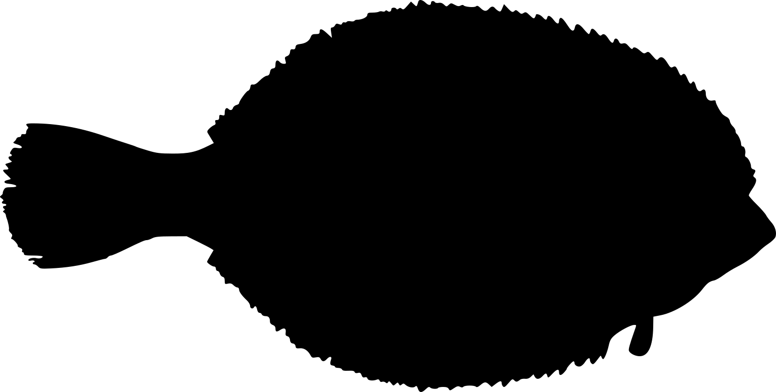 Pseudopleuronectes americanus