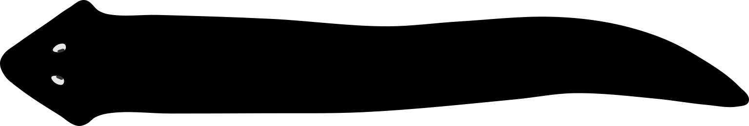 Dugesia benazzii