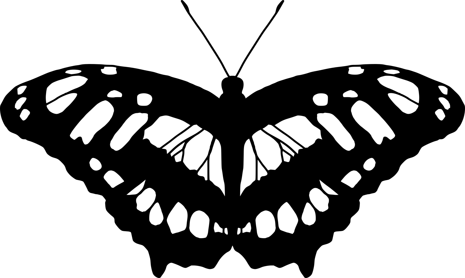 Siproeta stelenes