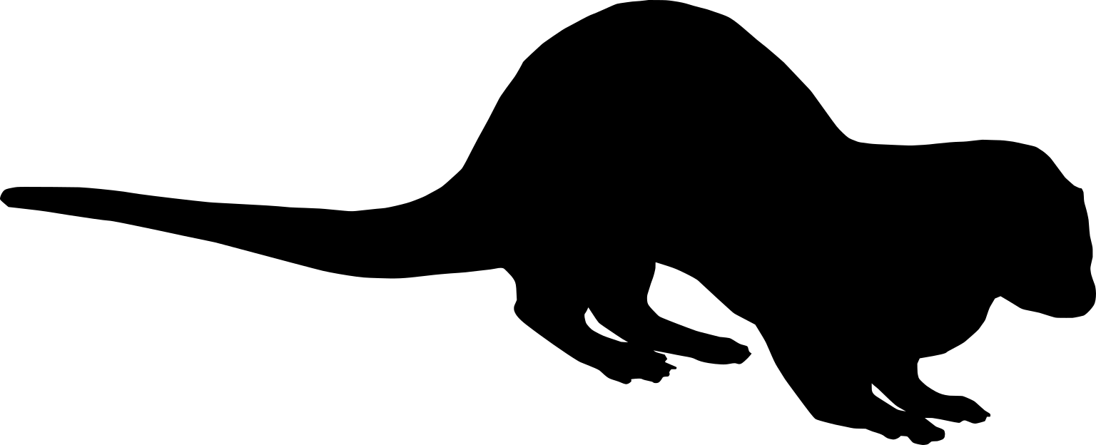 Lontra longicaudis