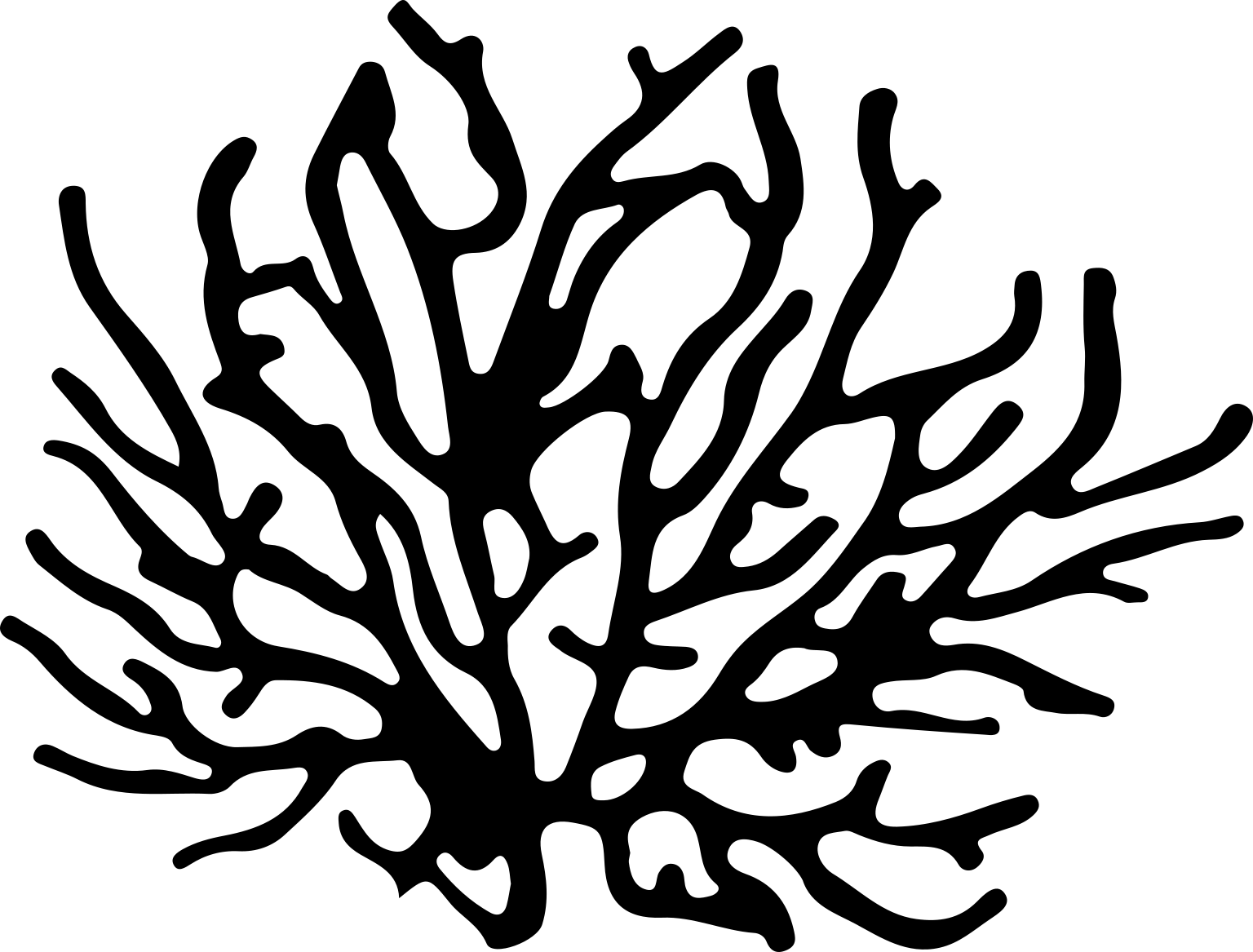 Eunicella labiata
