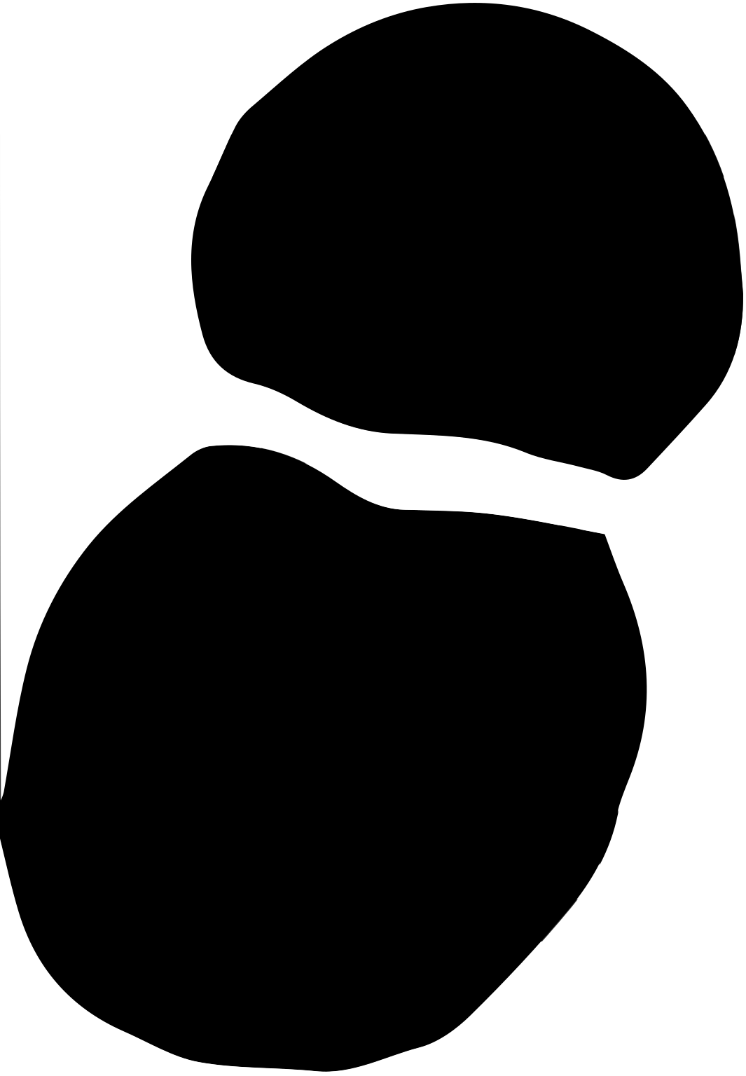 Chitinophagia