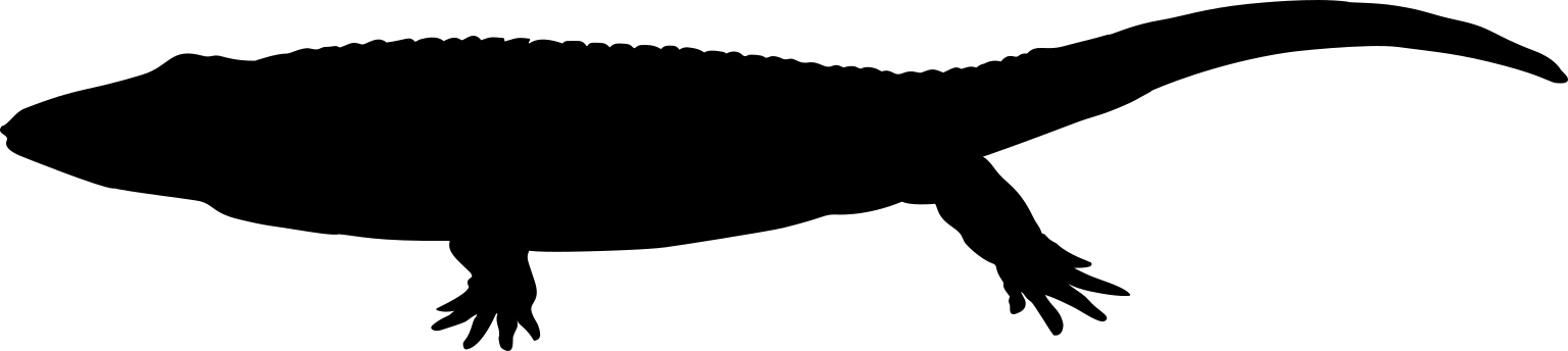 Jarilinus mirabilis