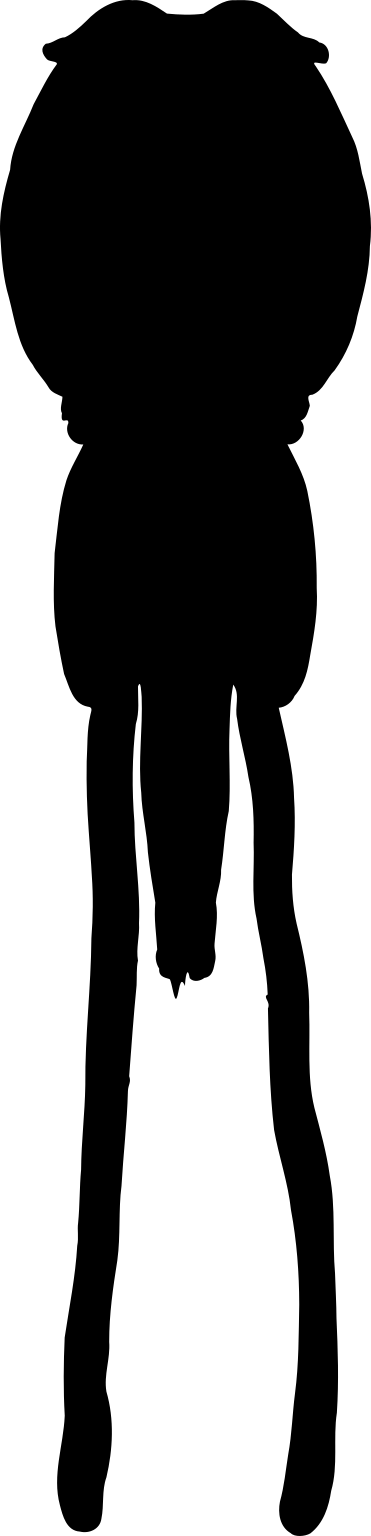 Lepeophtheirus salmonis