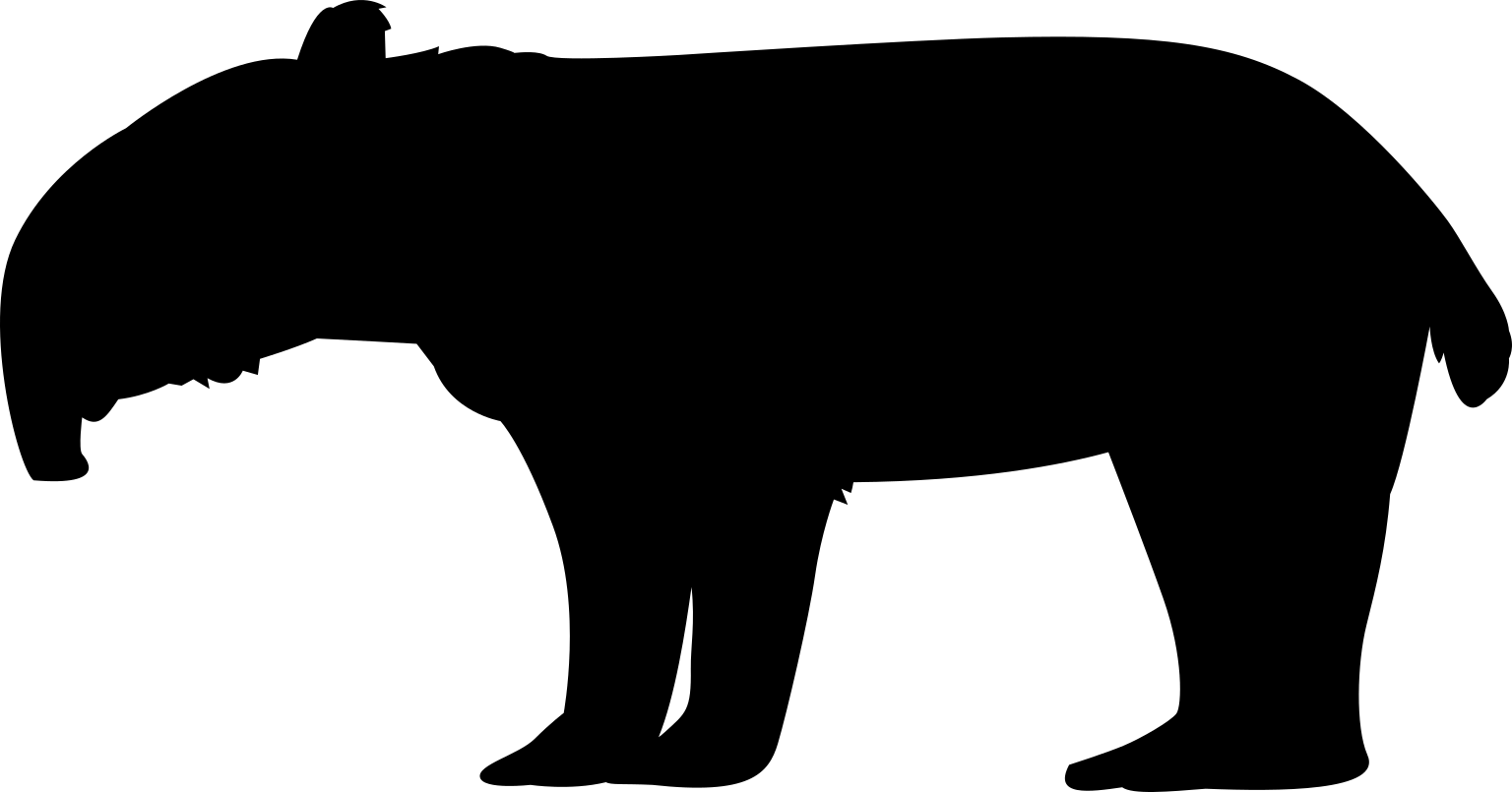 Astraponotus assymmetrum