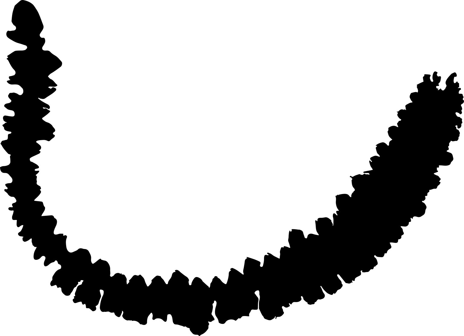 Doliolidae