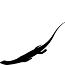 Neusticosaurus peyeri