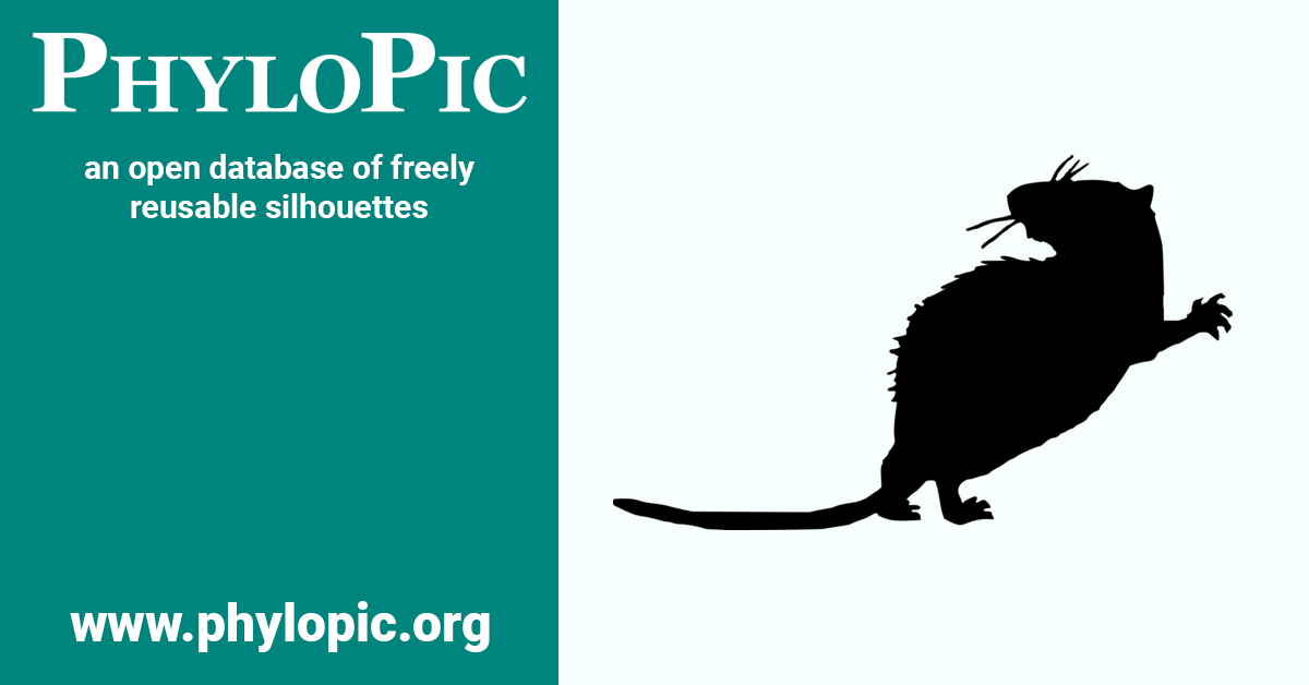 Octodontoidea PhyloPic