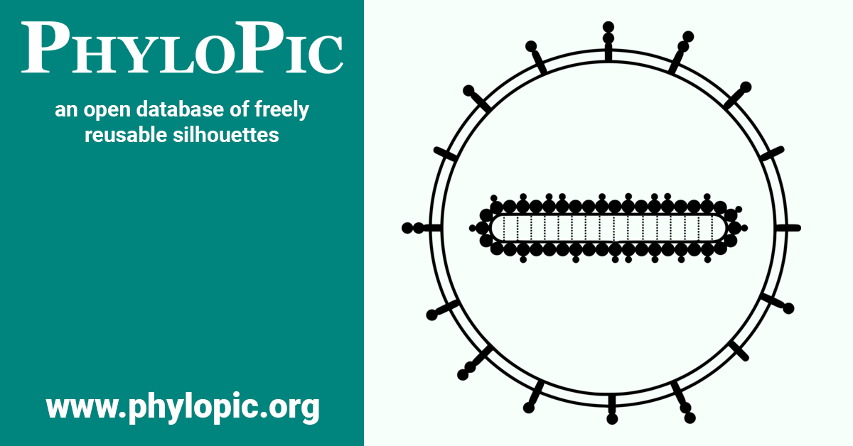 viruses PhyloPic