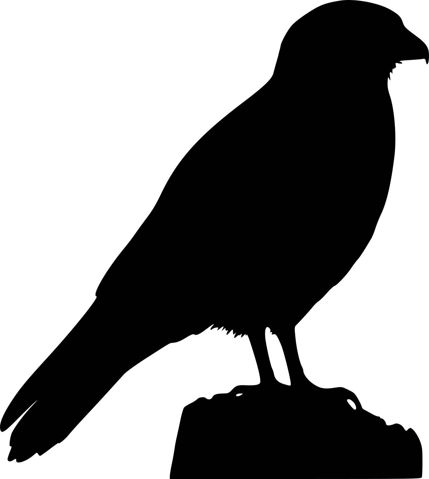 Daptrius chimango