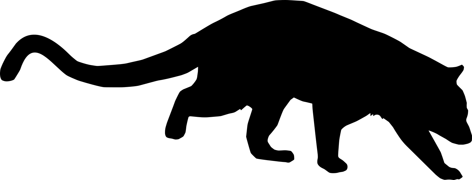 Paradoxurus zeylonensis