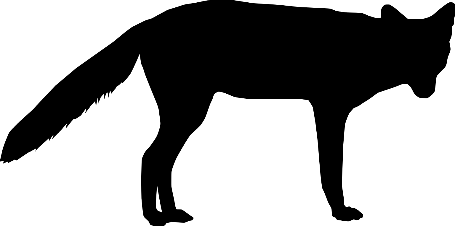 Lycalopex griseus