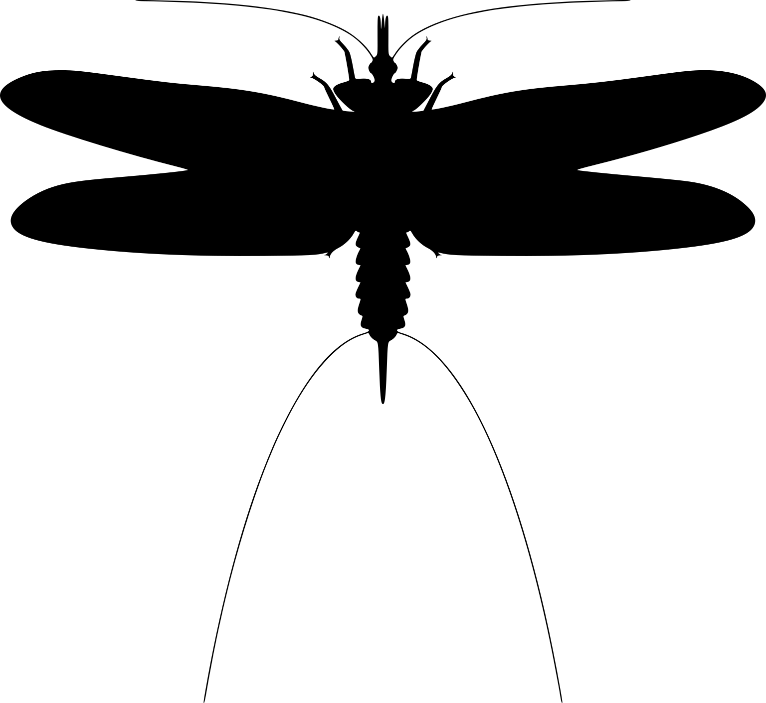Mazothairos enormis