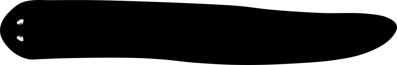 Schmidtea mediterranea