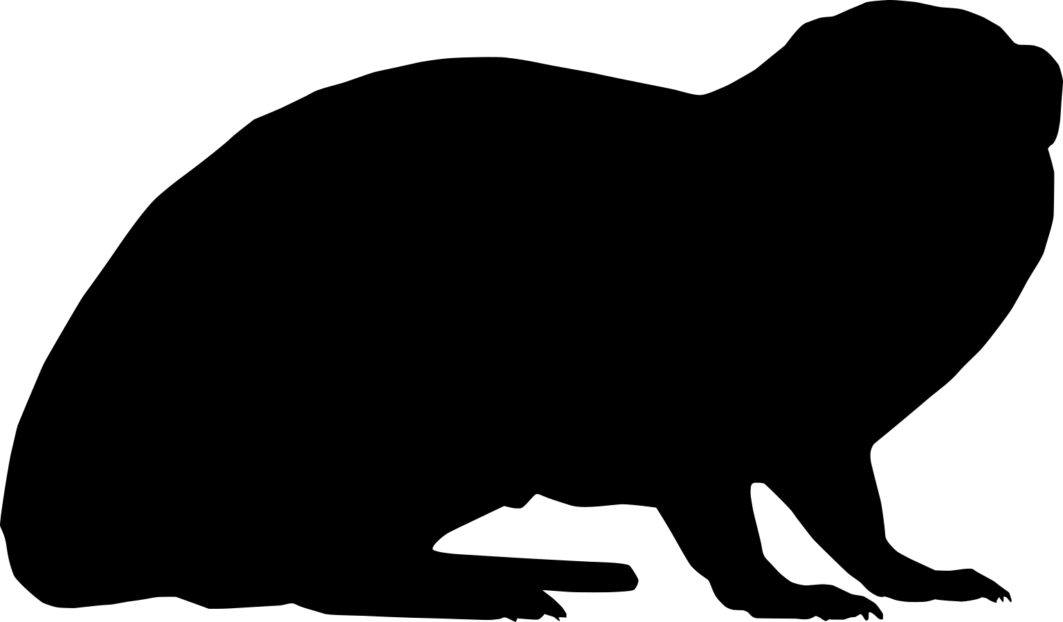 Helogale hirtula