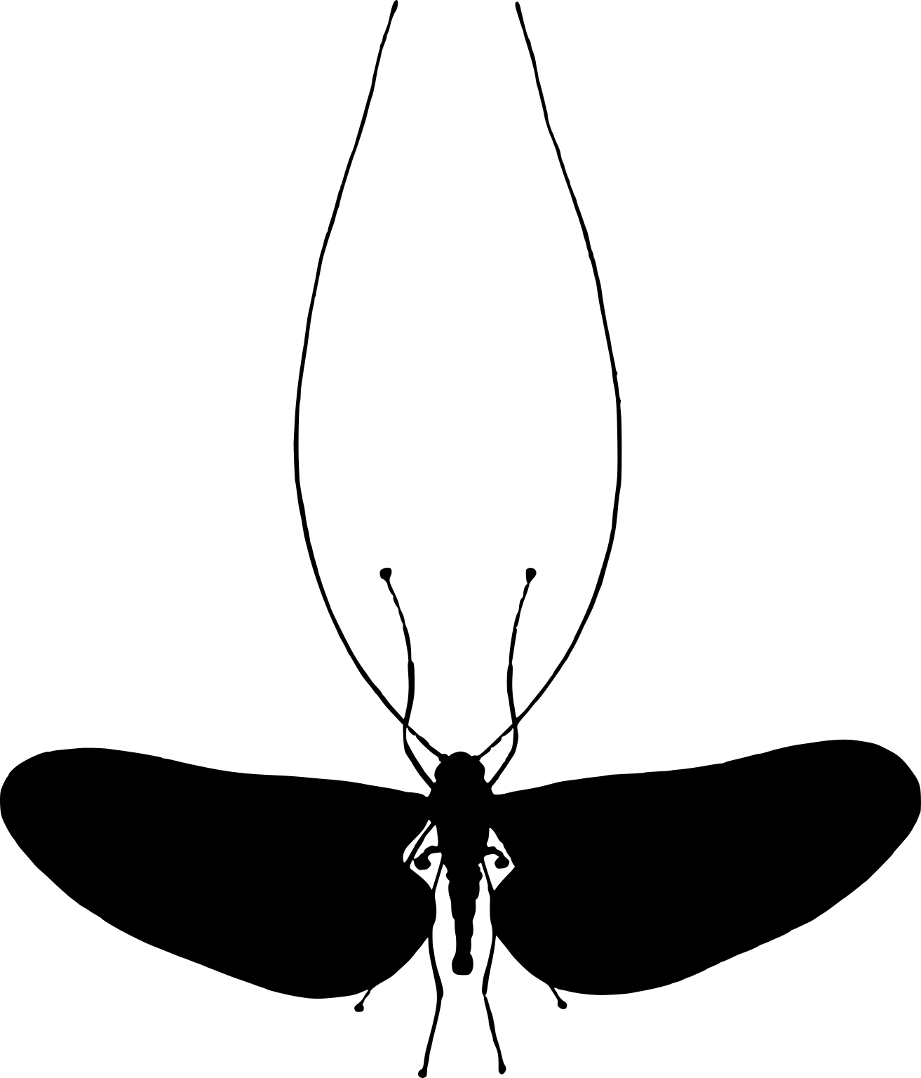 Deuterophlebia mirabilis