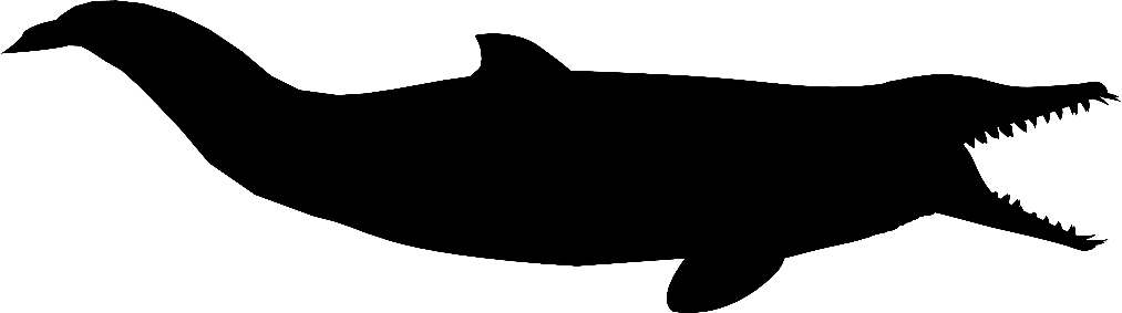 Squalodon