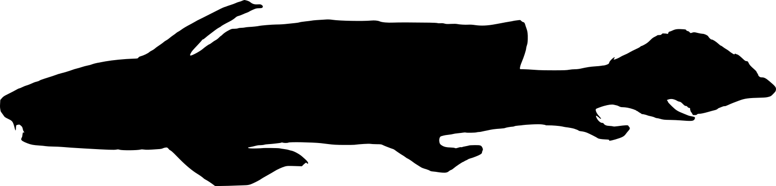 Xenacanthus