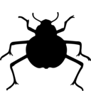 Onymacris plana