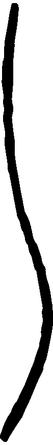 Dictyoglomus thermophilum