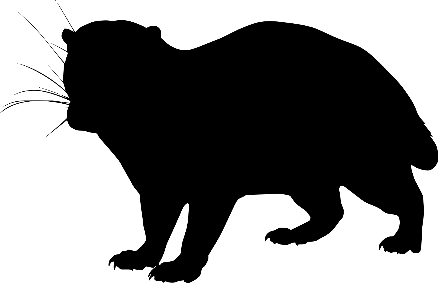 Cynogale bennettii