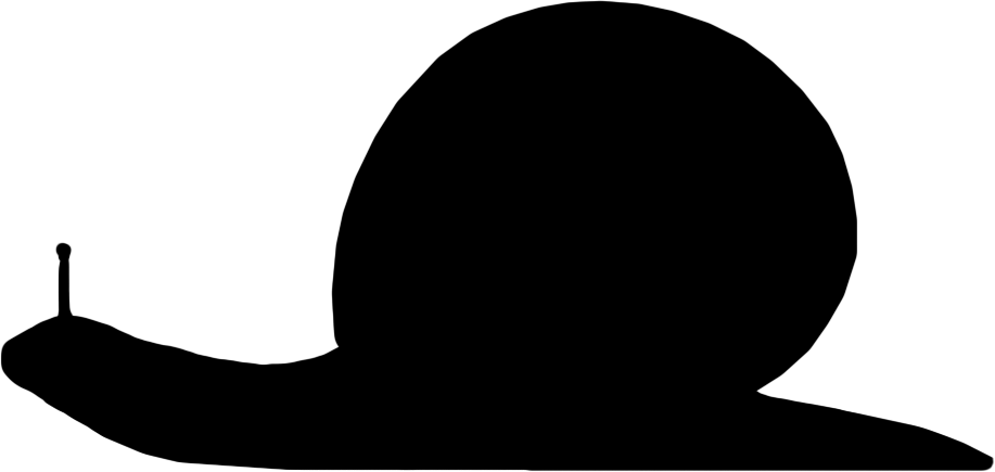Tropidodiscus