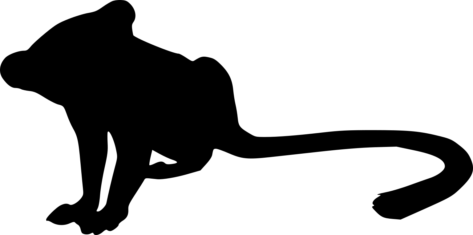 Bassaricyon alleni
