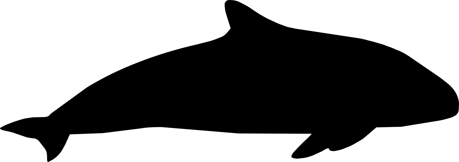 Phocoena sinus