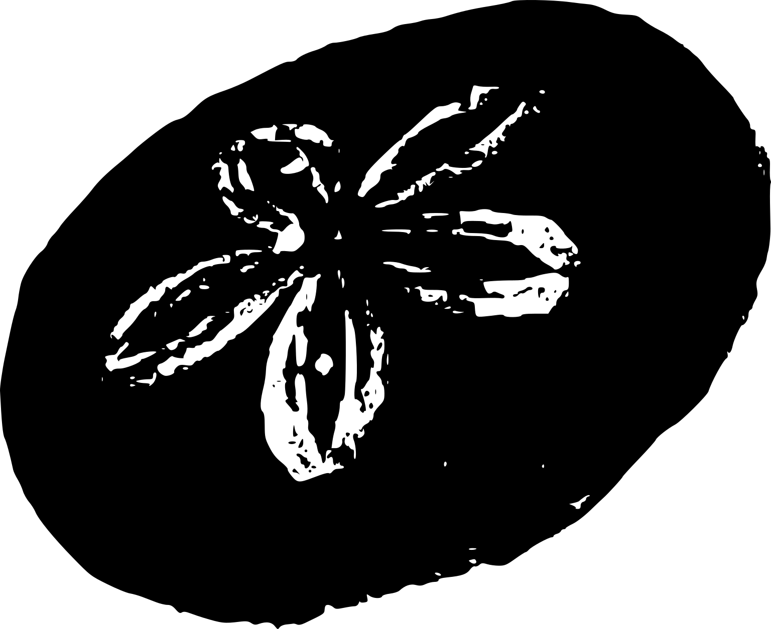 Scutella