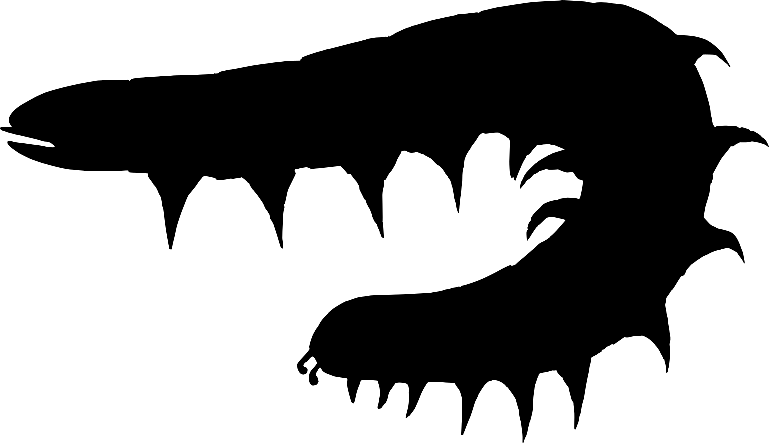 Waukartus muscularis
