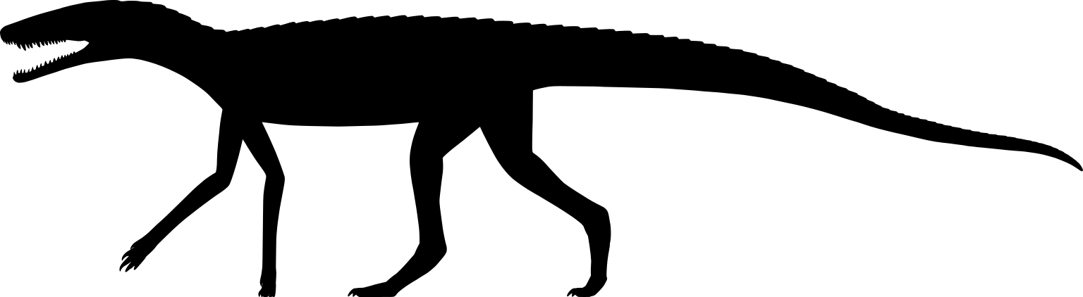 Saltoposuchus connectens
