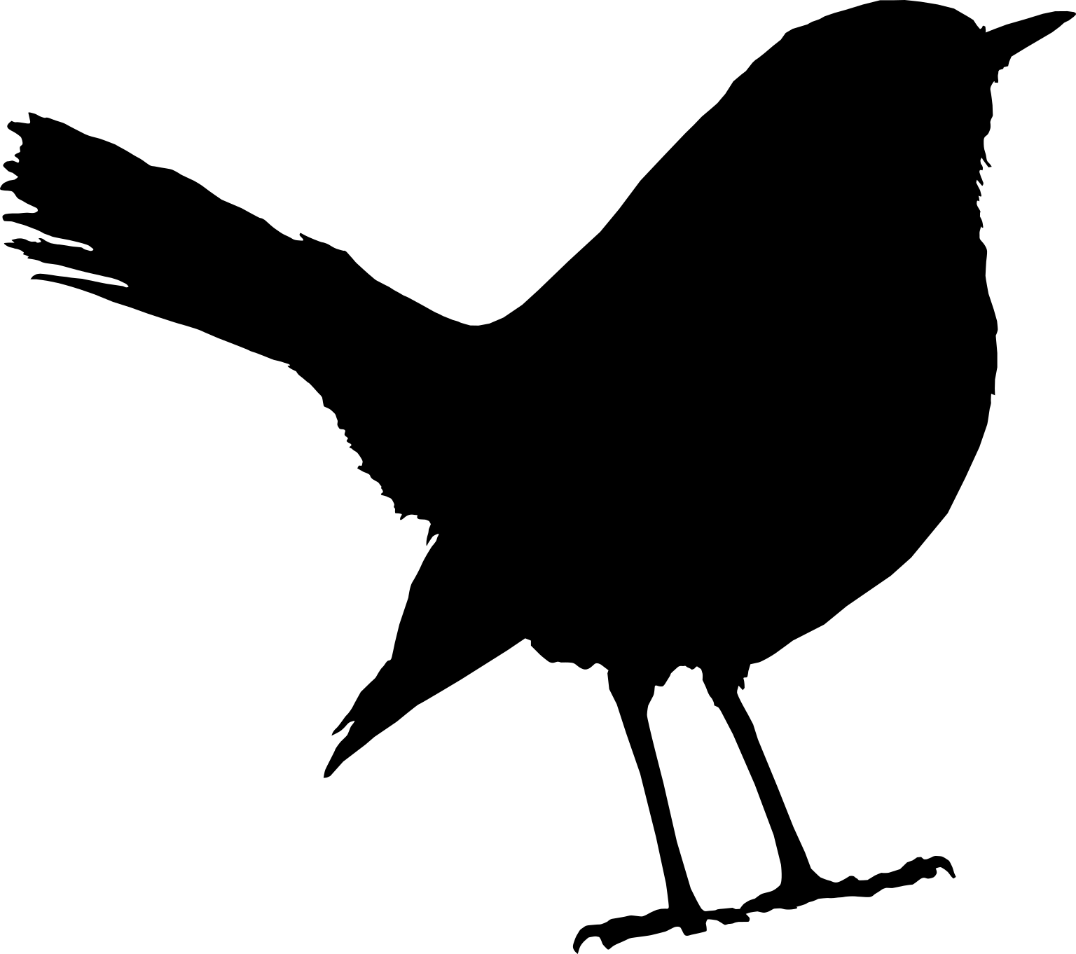 Phoenicurus leucocephalus