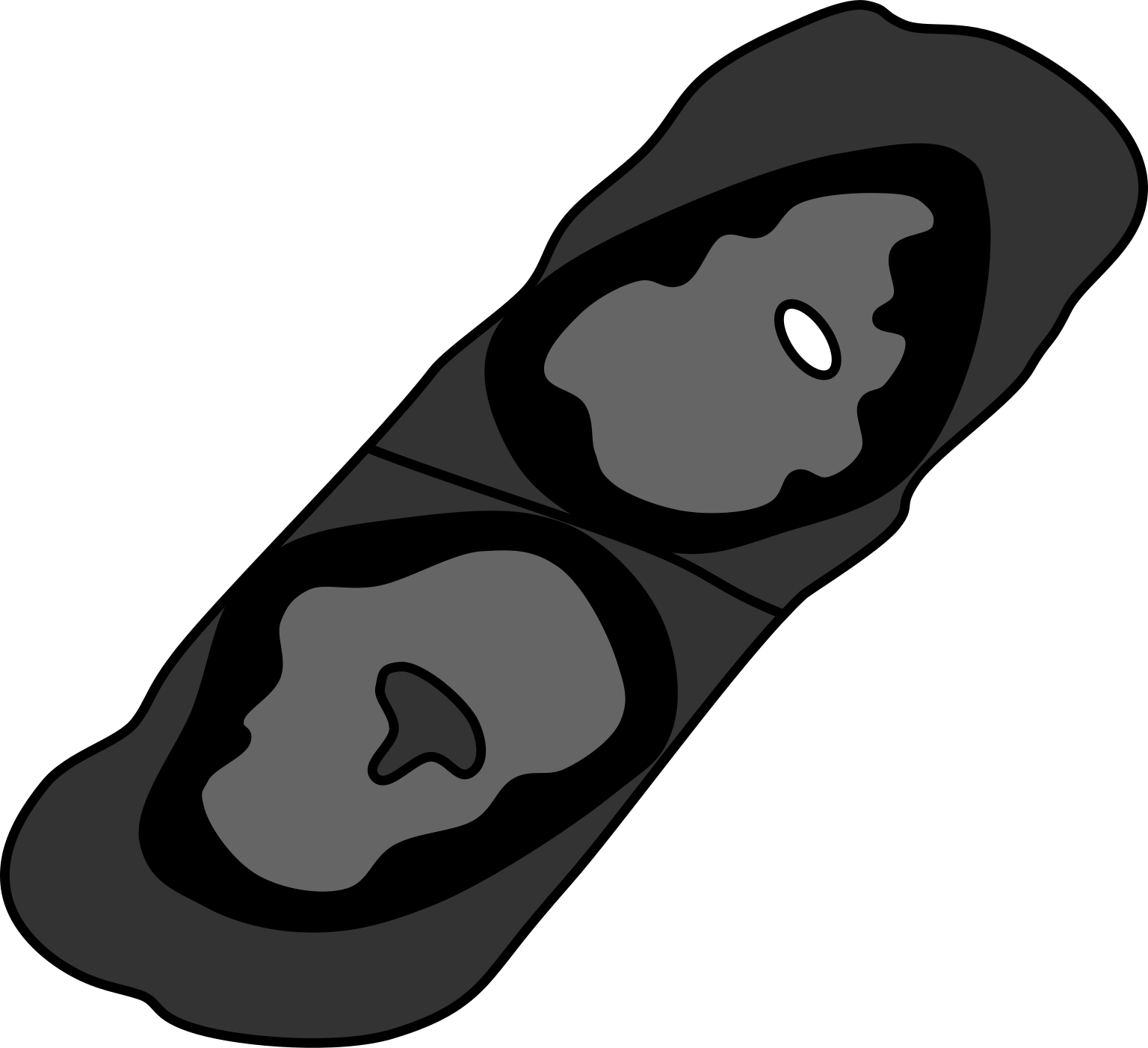 Poribacteria morphotype 1