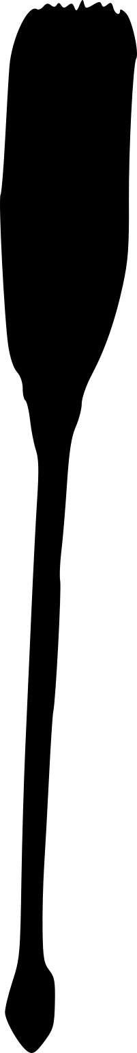 Dinomischus