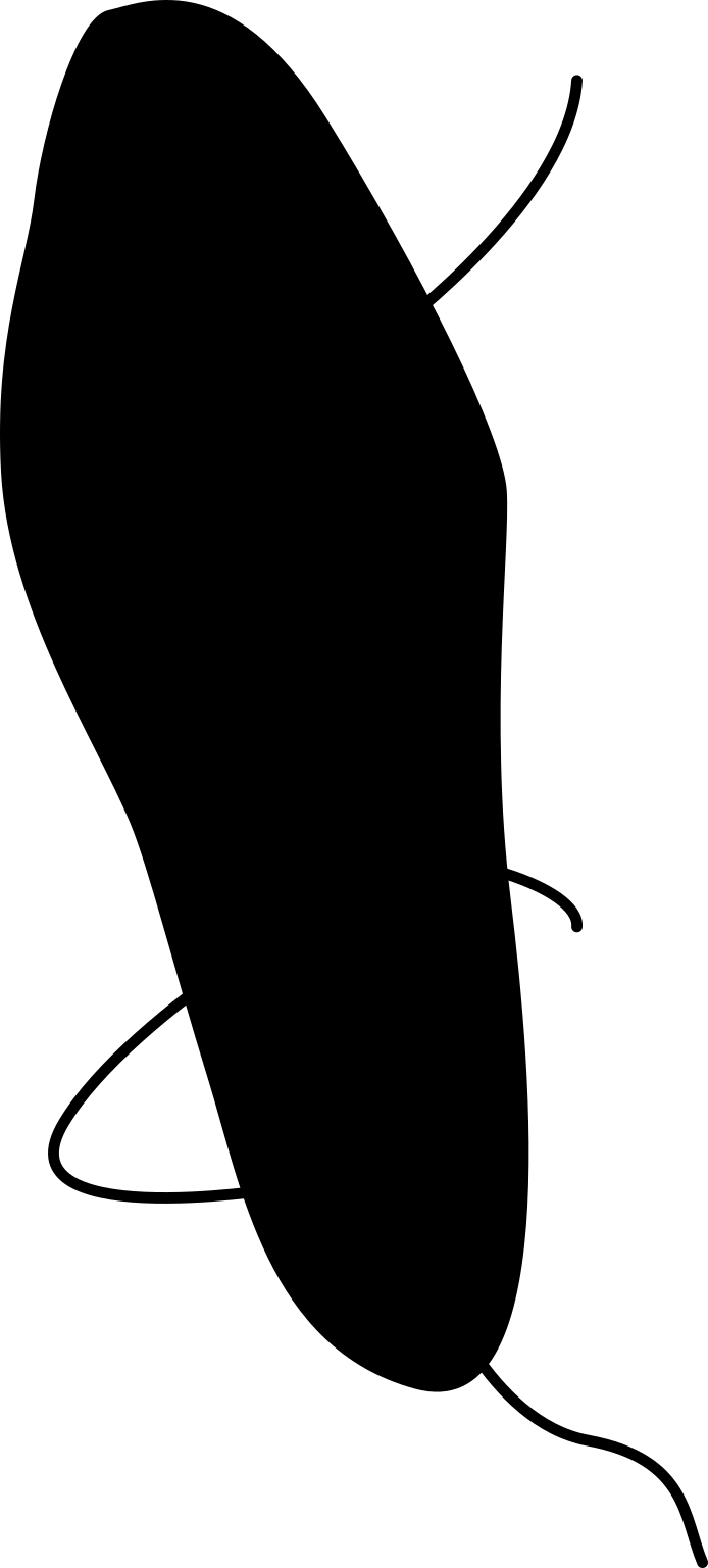 Clostridium botulinum