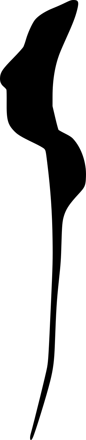Trypanosoma brucei