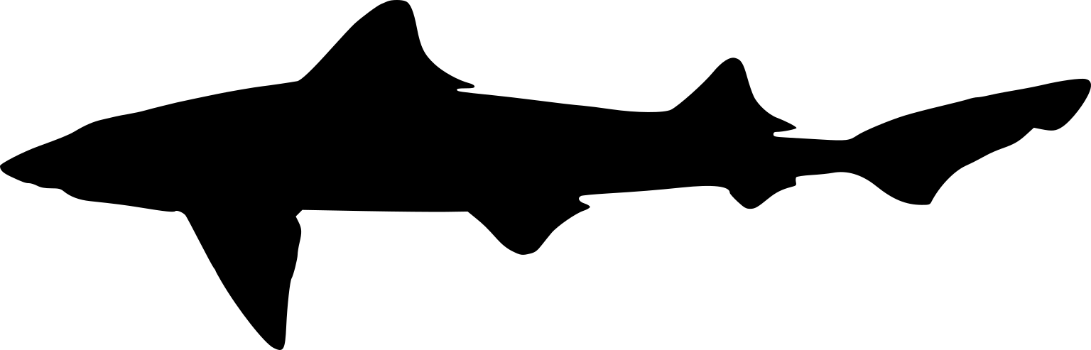 Mustelus canis