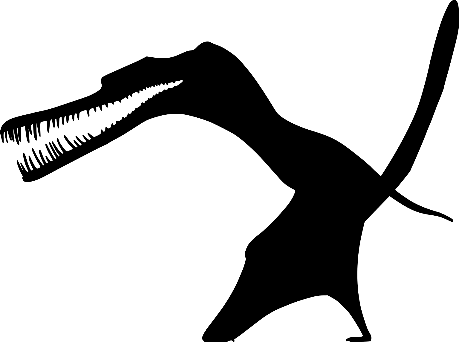Zhenyuanopterus longirostris