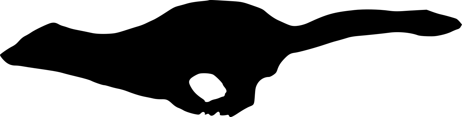 Mustela erminea hibernica