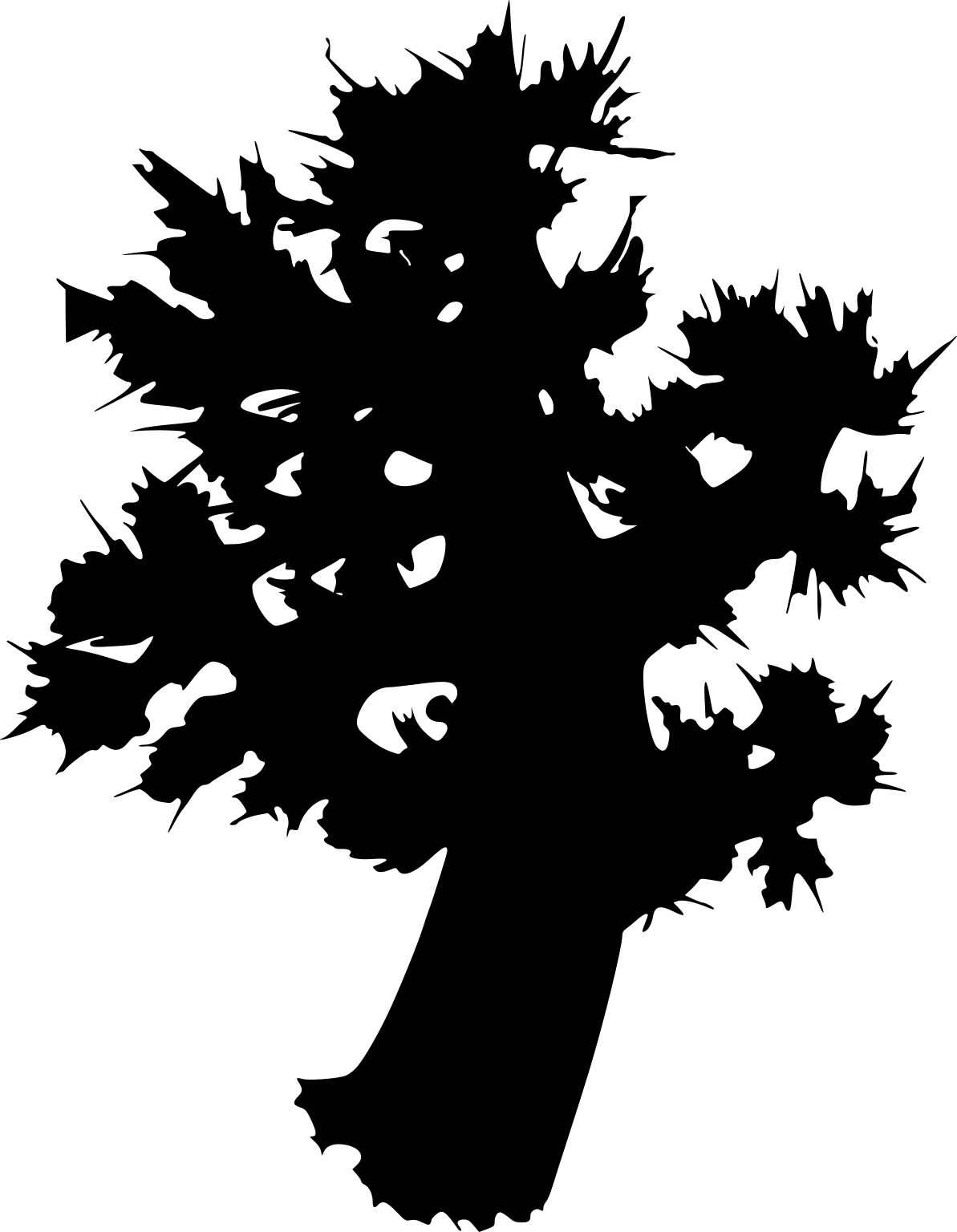 Dendronephthya