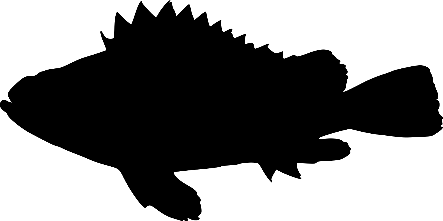Notesthes robusta